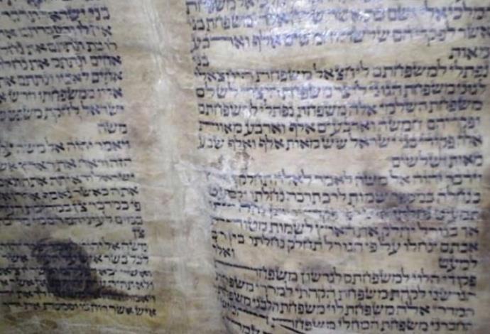 ספרת תורה בן 600 שנים שהוברח מסוריה לטורקיה (צילום:  צילום מסך)