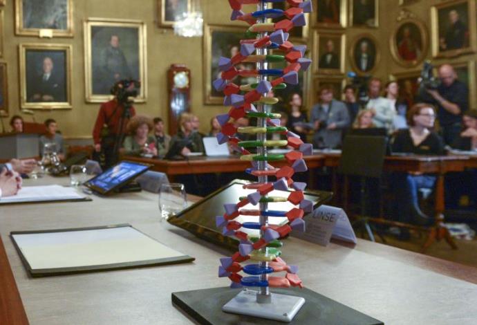 DNA (צילום:  רויטרס)
