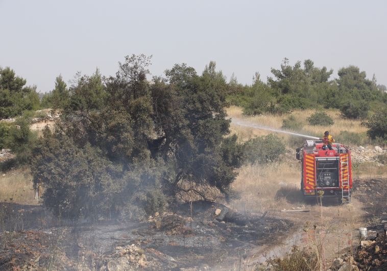שריפה באזור ירושלים. צילום: מרק ישראל סלם