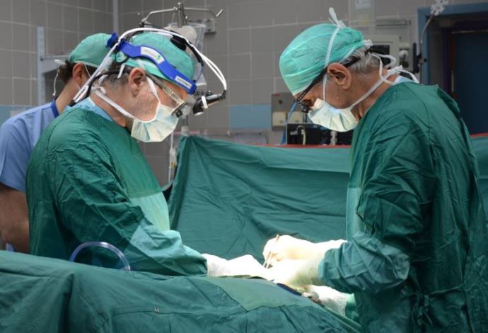 ניתוח השתלת איברים (צילום:  בילינסון)