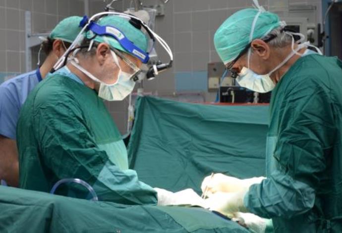 ניתוח השתלת איברים (צילום:  בילינסון)