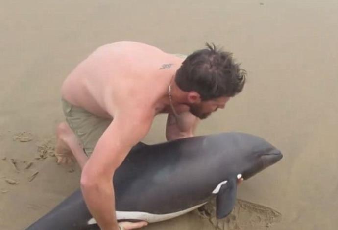 גולש קיאק מציל דולפין (צילום:  צילום מסך)