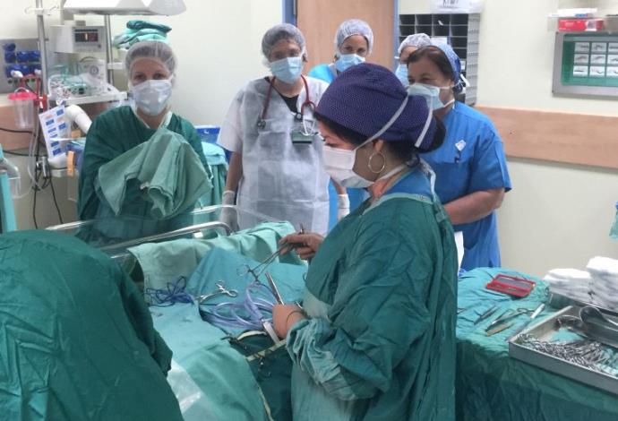ניתוח קיסרי ביולדת בת 60 בביה"ח קפלן (צילום:  בית חולים קפלן)