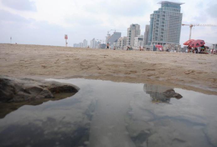 זיהום בחופי הים של תל אביב (צילום:  אבשלום ששוני)