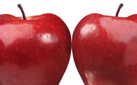 תפוח שלגייה (צילום: אינגאימג)