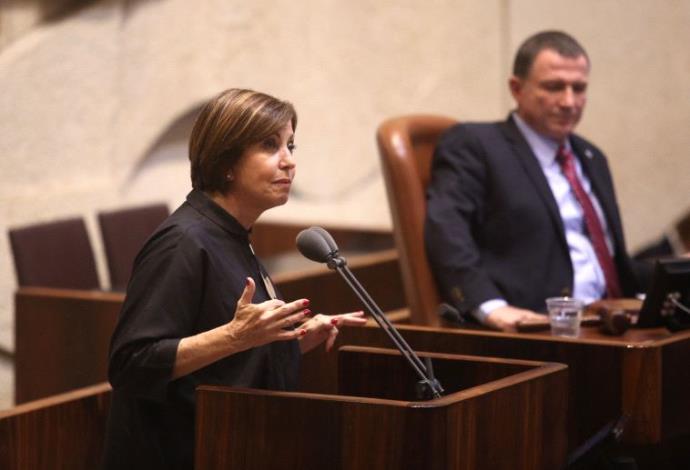 זהבה גלאון במליאת הכנסת  (צילום:  מרק ישראל סלם)
