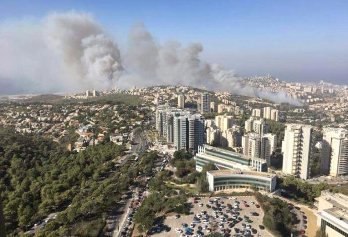 השריפה בחיפה, אזור האוניברסיטה (צילום:  קובי רבינוביץ')