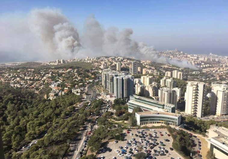 השריפה בחיפה, אזור האוניברסיטה. צילום: קובי רבינוביץ'