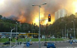 שריפה בחיפה (צילום: אבשלום ששוני)