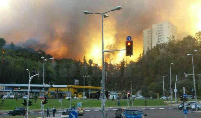 שריפה בחיפה (צילום: אבשלום ששוני)