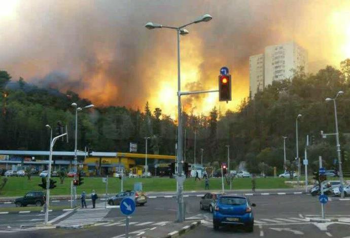 שריפה בחיפה (צילום:  אבשלום ששוני)