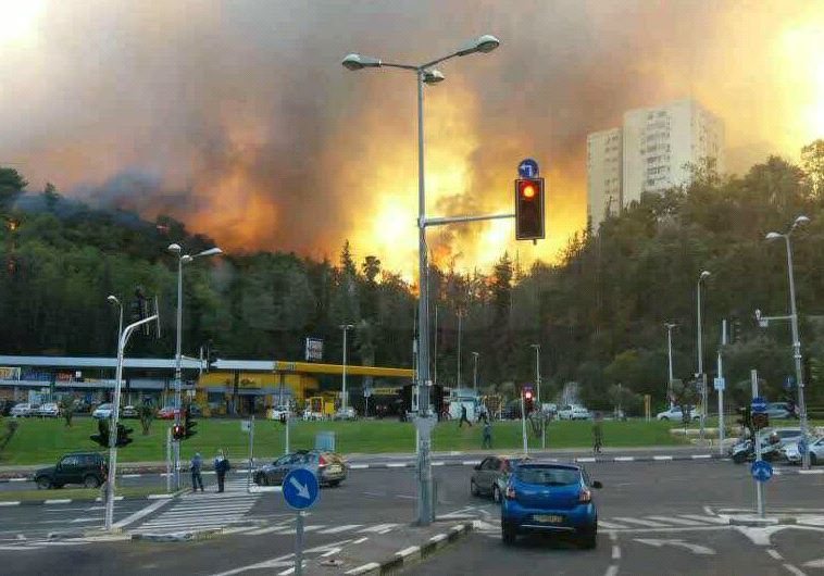 שריפה בחיפה. צילום: אבשלום ששוני