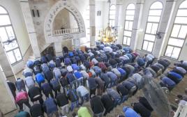 מוסלמים מתפללים (צילום: יוסי אלוני)