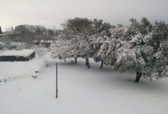 שלג במרום גולן  (צילום:  אבשלום ששוני)