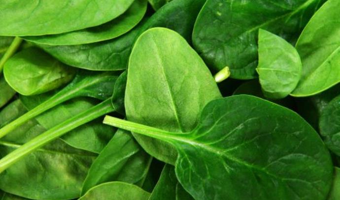 Spinach: five reasons to eat more of it