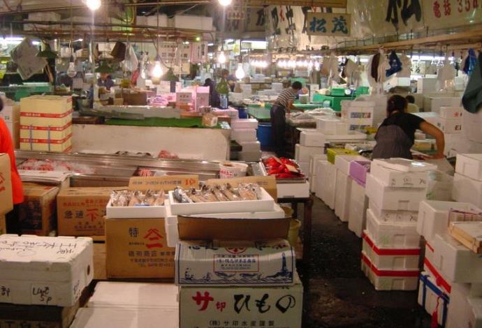 שוק הדגים צוקיג'י בטוקיו (צילום:  אמיר קלימובסקי)