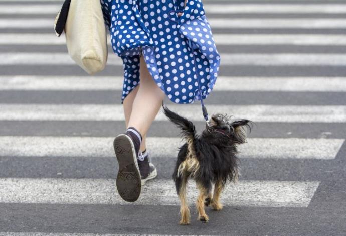 אישה מטיילת עם כלב (צילום:  Imgur)