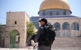 שוטר בהר הבית בירושלים  (צילום: מתי עמר/TPS)